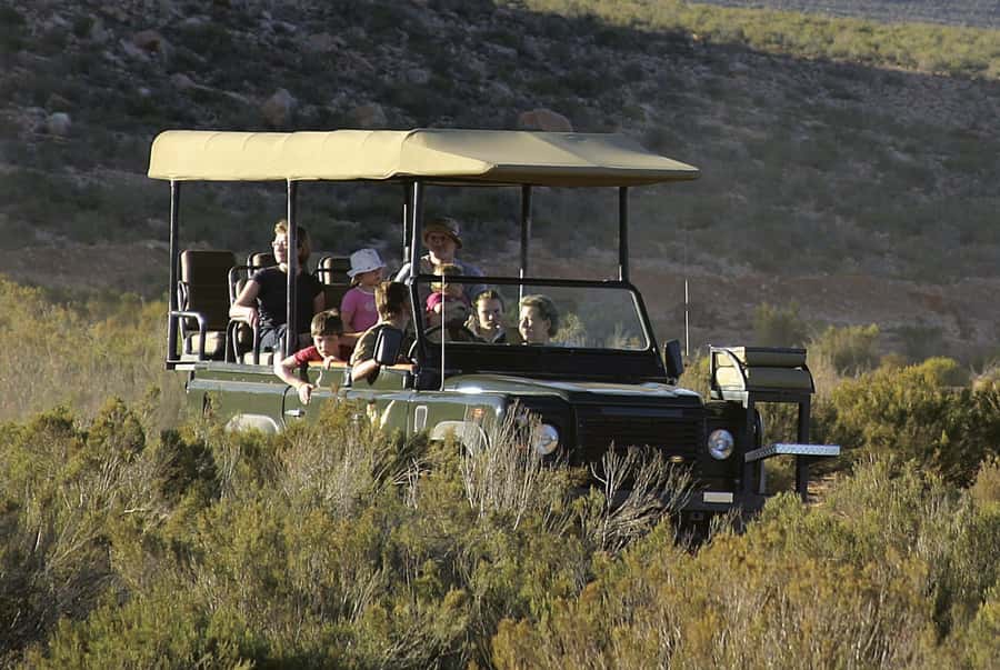 The Best Private Cape Town Safari Day Trip - Aquila Big 5 - The 10:15 traditional 4x4 safari