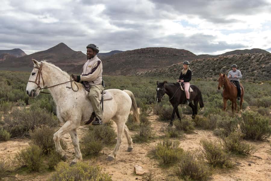 The Best Private Cape Town Safari Day Trip - Aquila Big 5 - What the Karoo setting adds