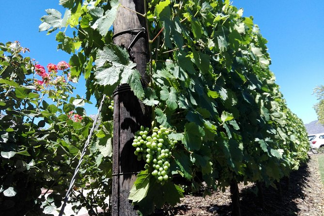The Constantia Wineland - Why Constantia works so well for a wine day