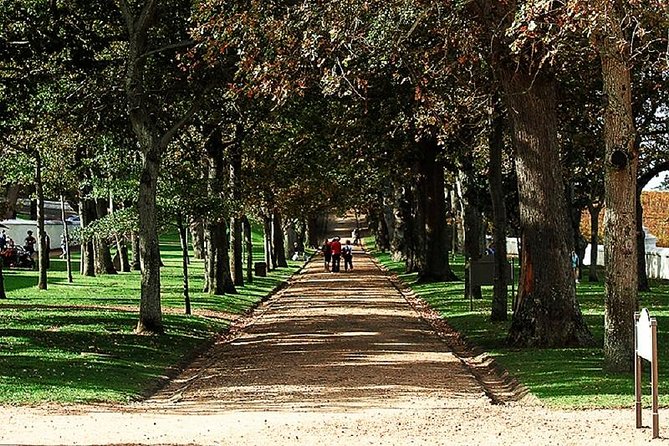The Constantia Wineland - Constantia Glen for cool-climate wines and food