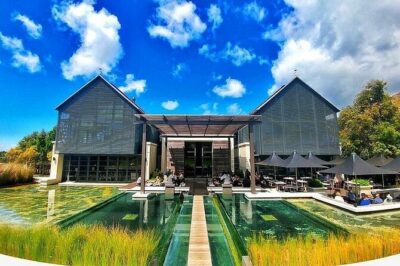 The Constantia Wineland
