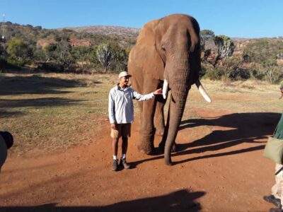 The Elephant and Monkey Sanctuary.