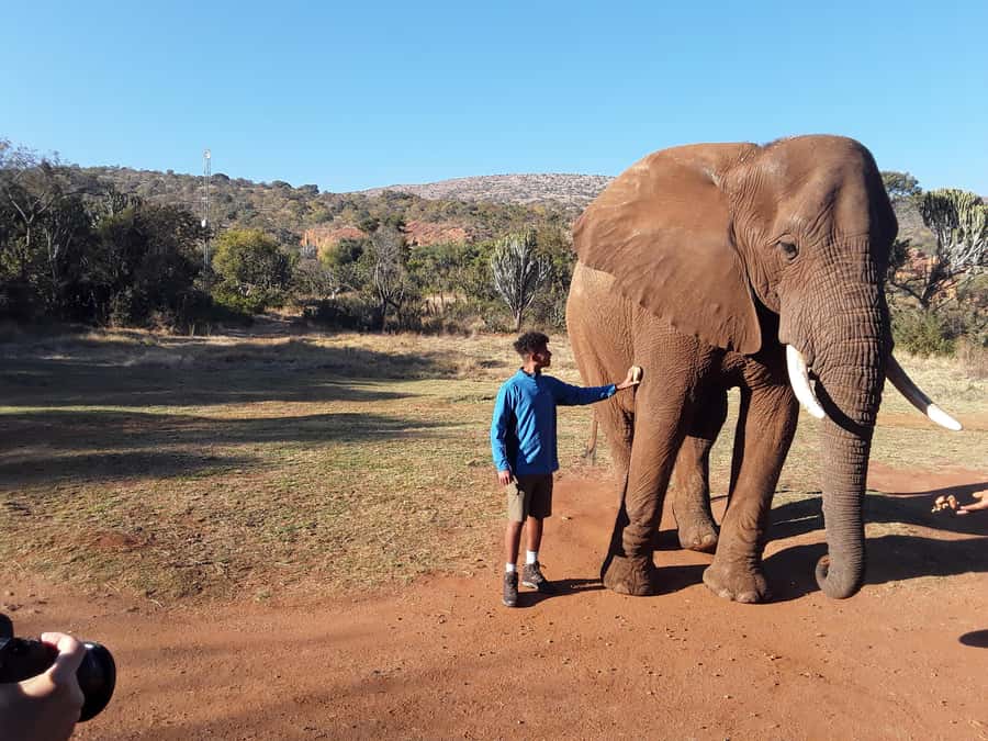 The Elephant and Monkey Sanctuary. - The guides make the practical difference