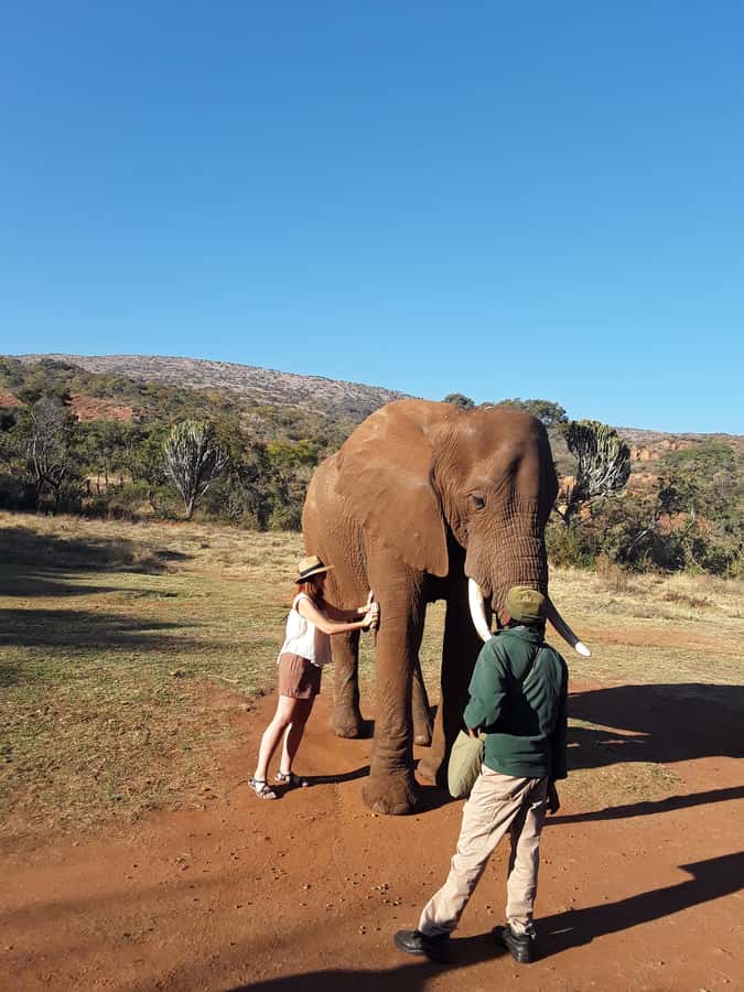 The Elephant and Monkey Sanctuary. - Cancellation and booking flexibility