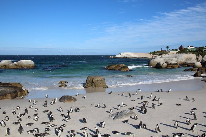 The Peninsula and Cape of Good Hope Full Day Tour in Cape Town - Kirstenbosch and an important itinerary question