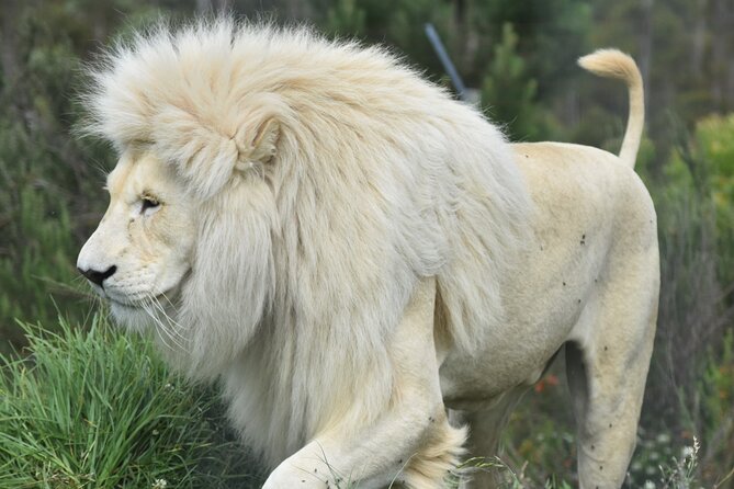 The Private Wildlife Tour - Is $35.27 a good value?