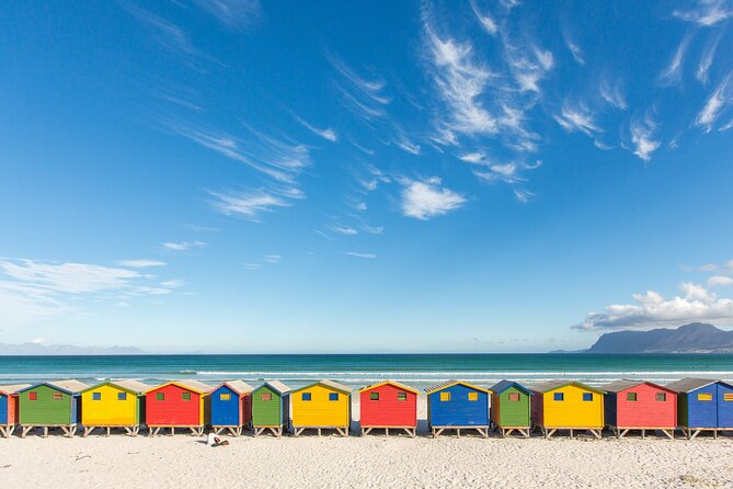 The Road Trip (Cape Point and Penguins) - Cape Point Nature Reserve: the main event