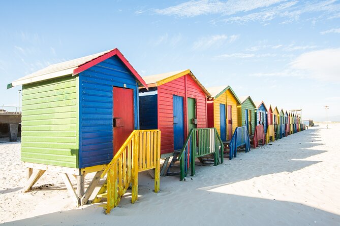 The Road Trip (Cape Point & Penguins) - Private Tour - Lunch, water, timing, and what to carry