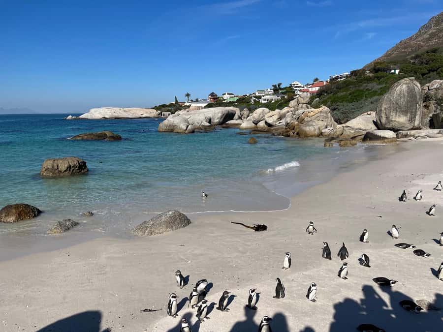 The Ultimate Cape of Good Hope Experience - The Cape of Good Hope photo stop