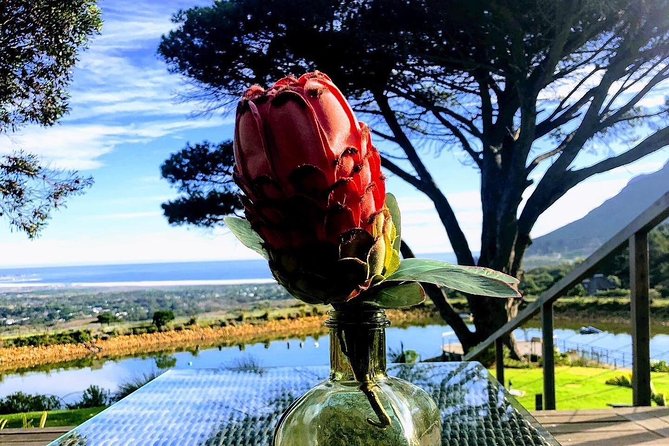 Three Day Private tour: Table Mountain, City, Cape Peninsula and Winelands - Who will enjoy this three-day plan most