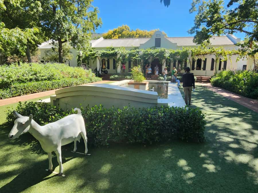 Tour the Winelands: Stellenbosch to Franschhoek - Key points to know before booking