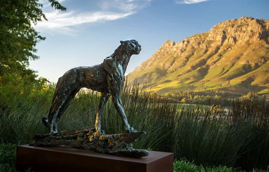 Tour the Winelands: Stellenbosch to Franschhoek - The drive through Franschhoek Pass