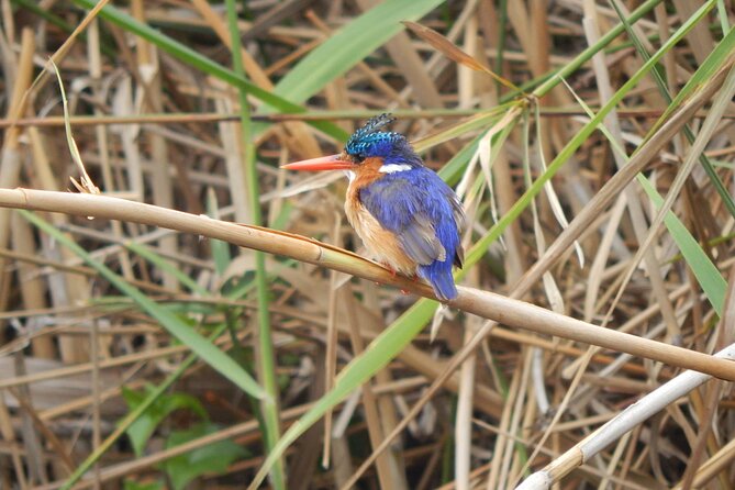 Touw River Boat Cruise - Wilderness National Park - Starting at Wilderness River Safaris