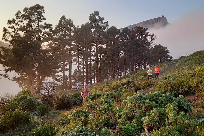 Trail running Lion's Head to Signal Hill Morning Run - What the two-hour itinerary is really like