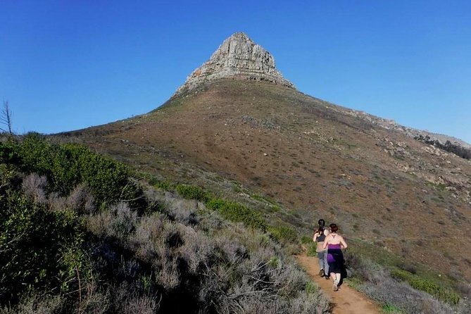 Trail running Lion's Head to Signal Hill Morning Run - A small group changes the experience