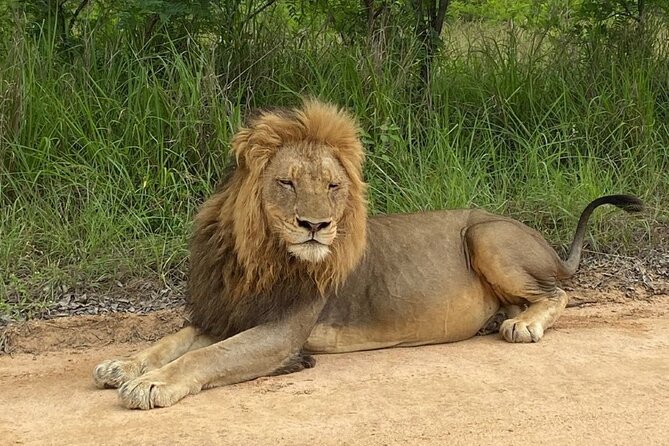 Two Days, One Night Tour: Blyde River to Kruger National Park - Why combining Blyde River and Kruger works so well