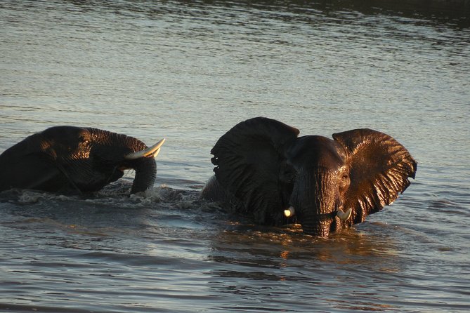 Two Days, One Night Tour: Blyde River to Kruger National Park - Entering Kruger for the first game drive