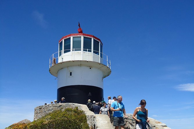 Ultimate Cape Point Tour from Cape Town - Full Day - Boulders Beach and the African penguins