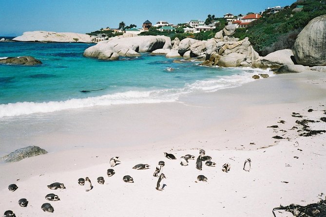 Ultimate Cape Point Tour from Cape Town - Full Day - Chapman’s Peak Drive and the Atlantic coast