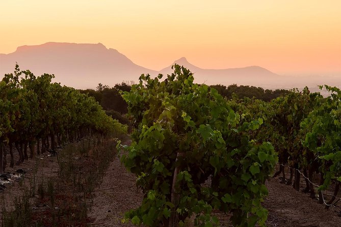 Unique Stellenbosch Winelands Tour with optional 4x4 Wine Drive - The guides can make or break the experience