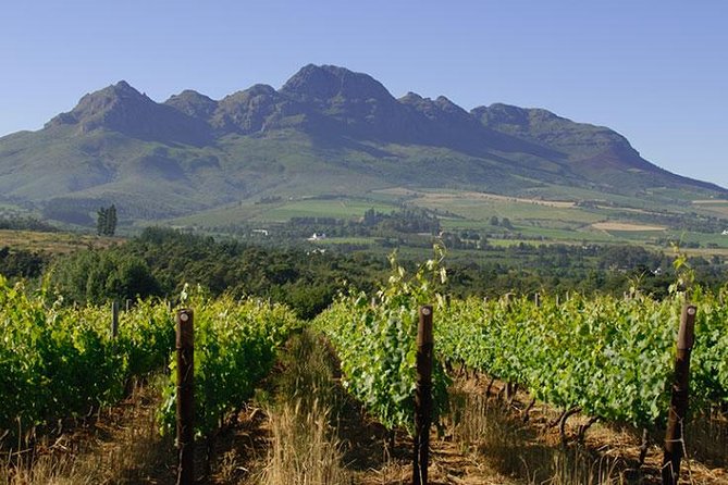 Unique Stellenbosch Winelands Tour with optional 4x4 Wine Drive - Practical advice before you book