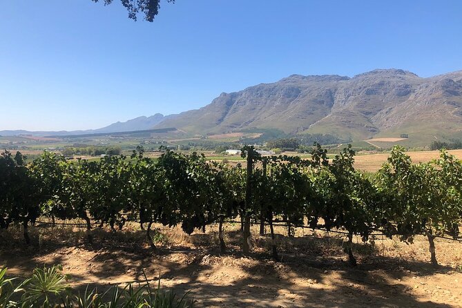 Vine Hopper: Hop-On Hop-Off Wine Tour - Northern Route - Warwick: a useful lunch stop