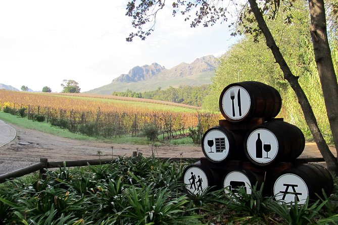 Vine Hopper: Hop-On Hop-Off Wine Tour - Southern Route - Peter Falke Winery: A flexible stop for wine lovers
