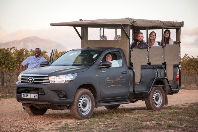 Vineyard Safari and Wine Tasting in Hermanus with Guide - Key points to know before you book