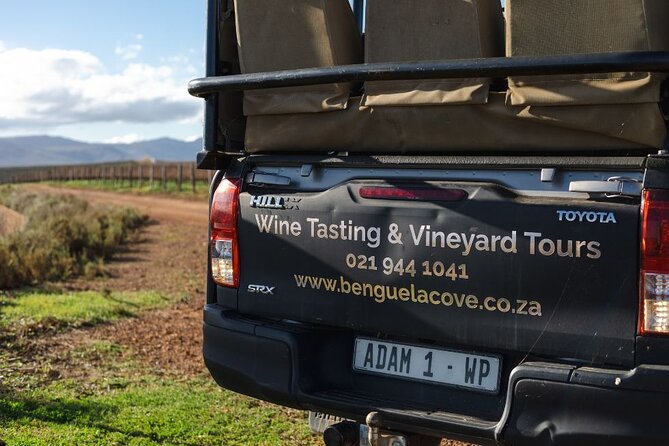 Vineyard Safari and Wine Tasting in Hermanus with Guide - The coast, olive groves, and Kogelberg views