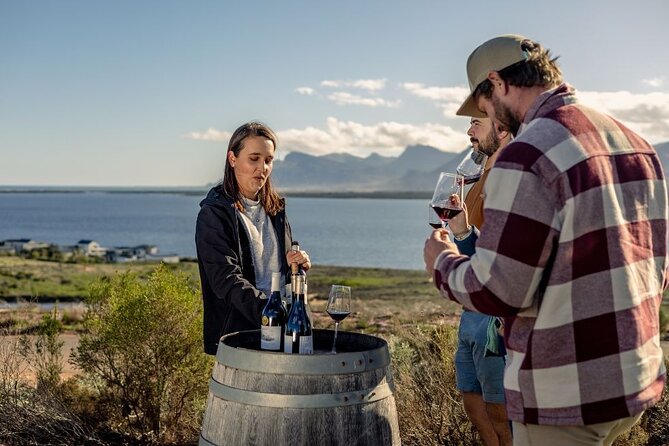 Vineyard Safari and Wine Tasting in Hermanus with Guide - Why the one-hour duration works, and where it falls short