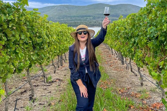 Vineyard Safari and Wine Tasting in Hermanus with Guide - Booking, weather, and practical value