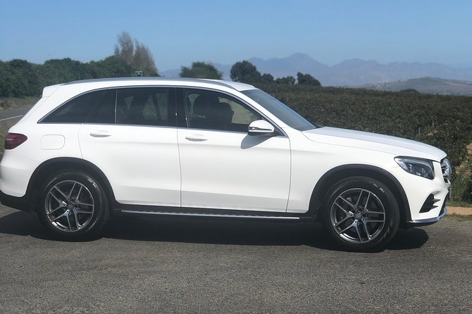 VIP Cape Town Private Guided Tour in Premium Luxury Vehicle - The price makes sense for a small group