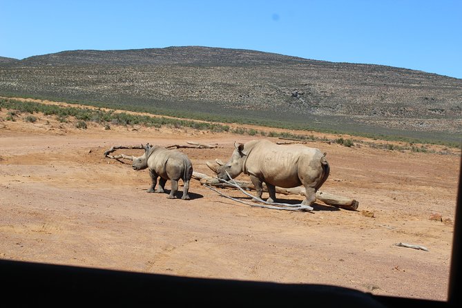 Visit African Big 5 Safari Aquila Game Reserve from Cape Town - full Day - The Du Toitskloof tunnel and mountain scenery
