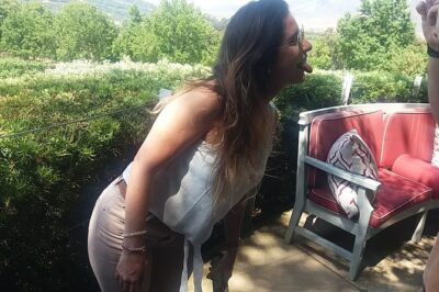 Visit Constantia Wineries + Muzenberg Noordhoek Beaches F/D