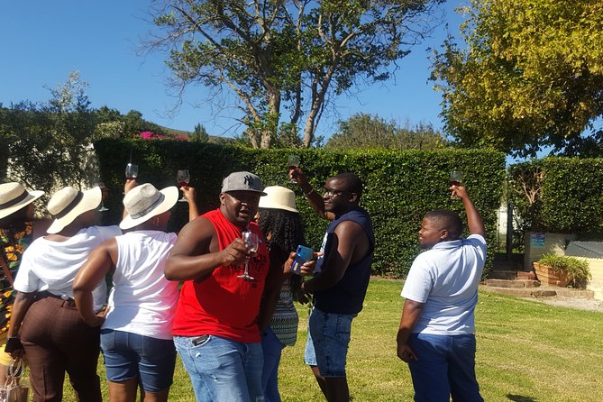 Visit Constantia Wineries + Muzenberg Noordhoek Beaches F/D - Hout Bay adds harbor life and optional seals