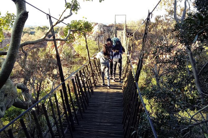 Walk with Elephants Experience plus Monkey Forest Walk - Elephant Sanctuary: close contact beside gentle giants