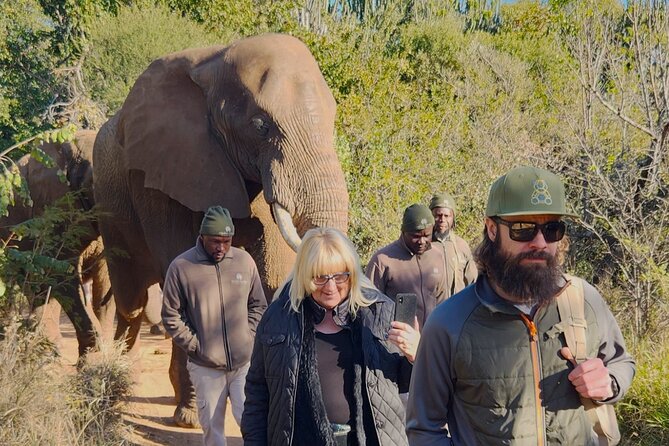 Walk with Elephants Experience plus Monkey Forest Walk - Who should book this experience?
