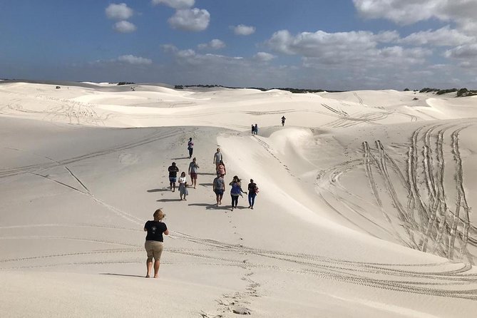 West Coast Day Trip from Cape Town - Key points to know before booking