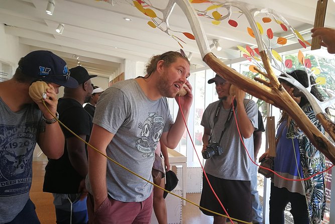 West Coast Day Trip from Cape Town - Who should book this experience?
