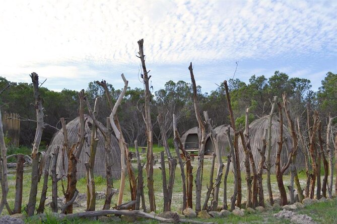West Coast Safari and Khoi San village COMBO - PRIVATE TOUR - Key points at a glance