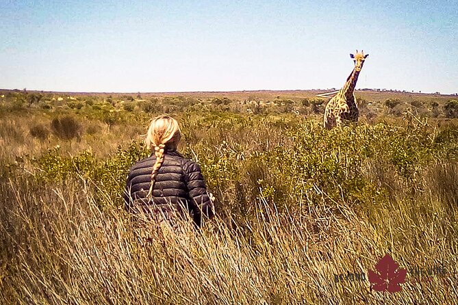 West Coast Safari and Khoi San village COMBO - PRIVATE TOUR - The halfway refreshment break