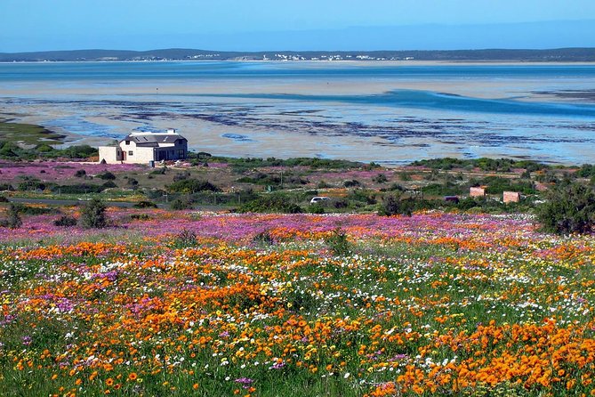 West Coast Wonders Full Day Tour with Private Transfer - Pick the Bakoor trail, Geelbek trail, or a scenic drive