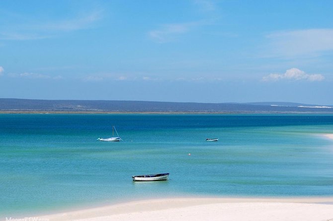 West Coast Wonders Full Day Tour with Private Transfer - How good is the private-tour value at $247.13?
