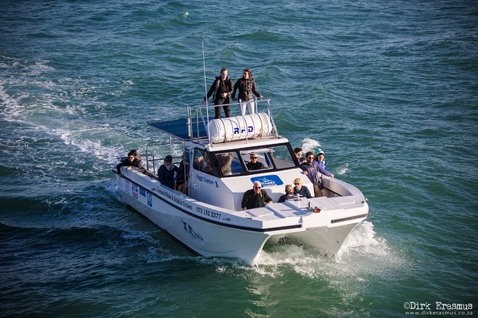 Whale, Dolphin & Penguin Island Cruise - Is $185.19 a fair price?