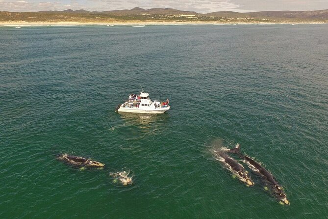 Whale Watching from Gansbaai - Leaving Gansbaai Harbour for De Keldar