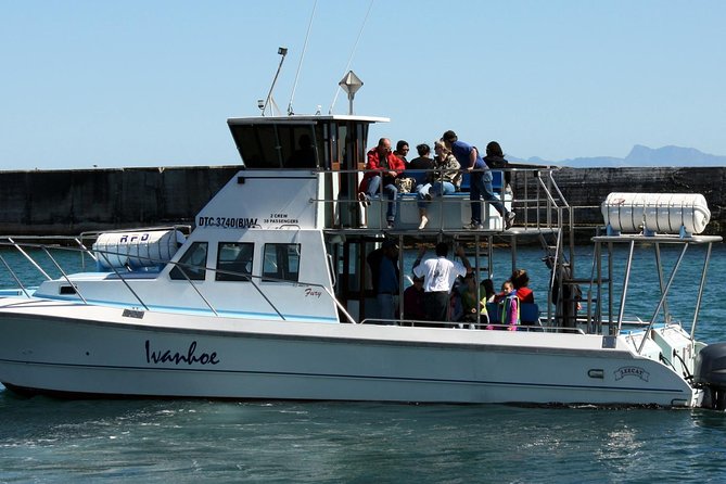 Whale Watching from Gansbaai - Should you book it?