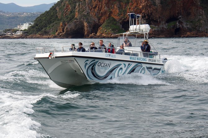 Whale Watching Knysna - Close Encounter Experience Ocean Odyssey - Is $94.90 good value for two hours?