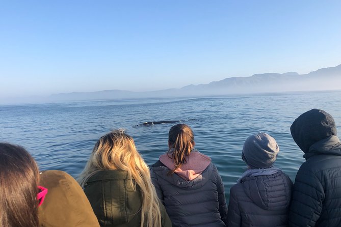 Whale Watching Tour in Hermanus with Hotel Pickup - Key points before you book