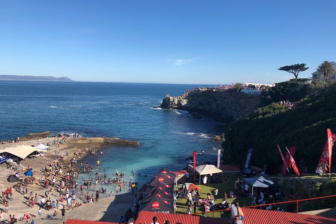 Whale Watching Tour in Hermanus with Hotel Pickup - The boat ride and the value of getting close