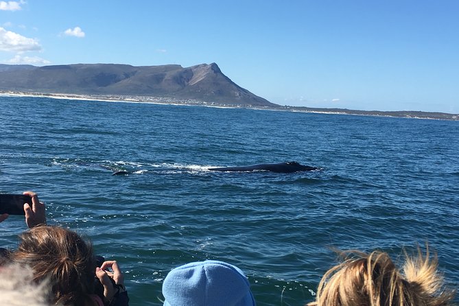 Whale Watching Tour in Hermanus with Hotel Pickup - Hermanus gives you room to slow down